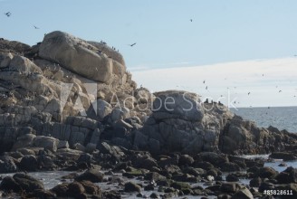 Bild på Pedra do lobo